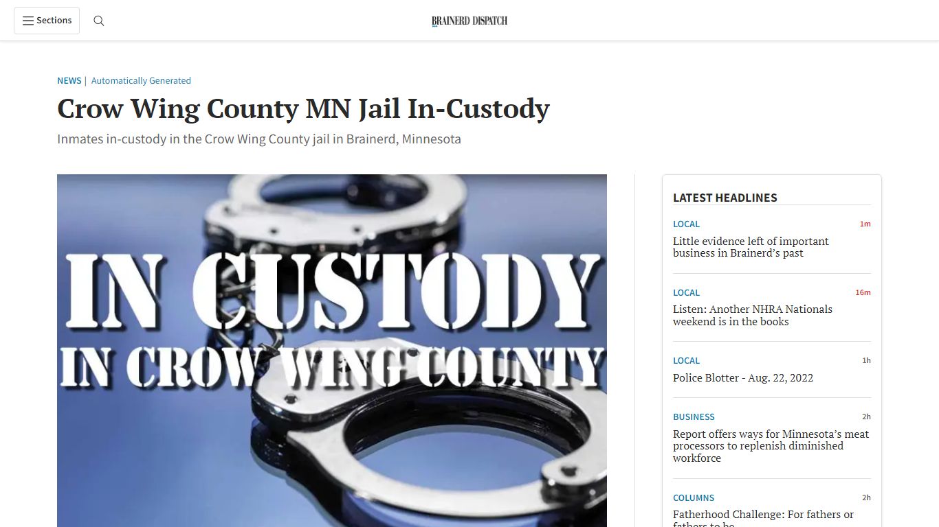 Crow Wing County MN Jail In-Custody - Brainerd Dispatch